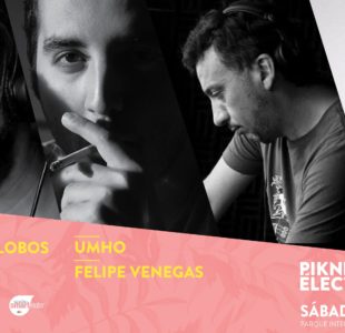 Felipe Venegas y Music Experience en Piknic Electronik #5