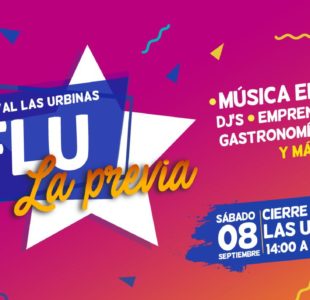 Dj School en Festival Flu, Providencia